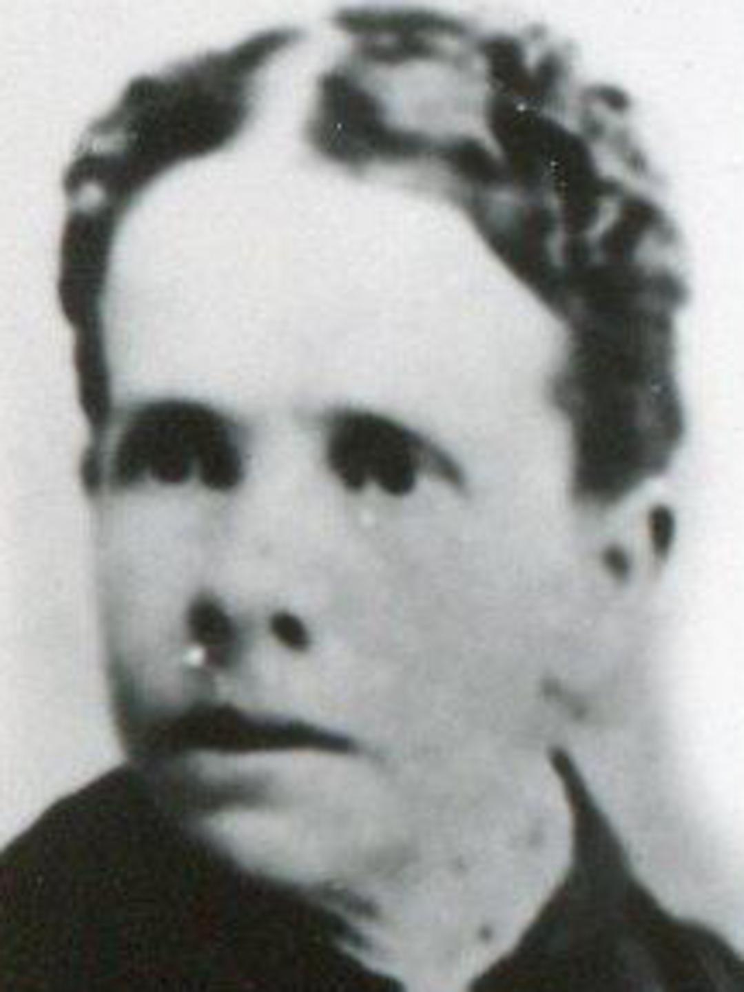 Alice Ann Griswold Thornton (1839 - 1914) Profile